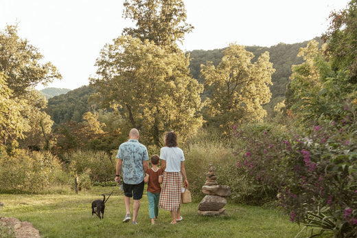 Ways to Reduce Stress with Your Dog