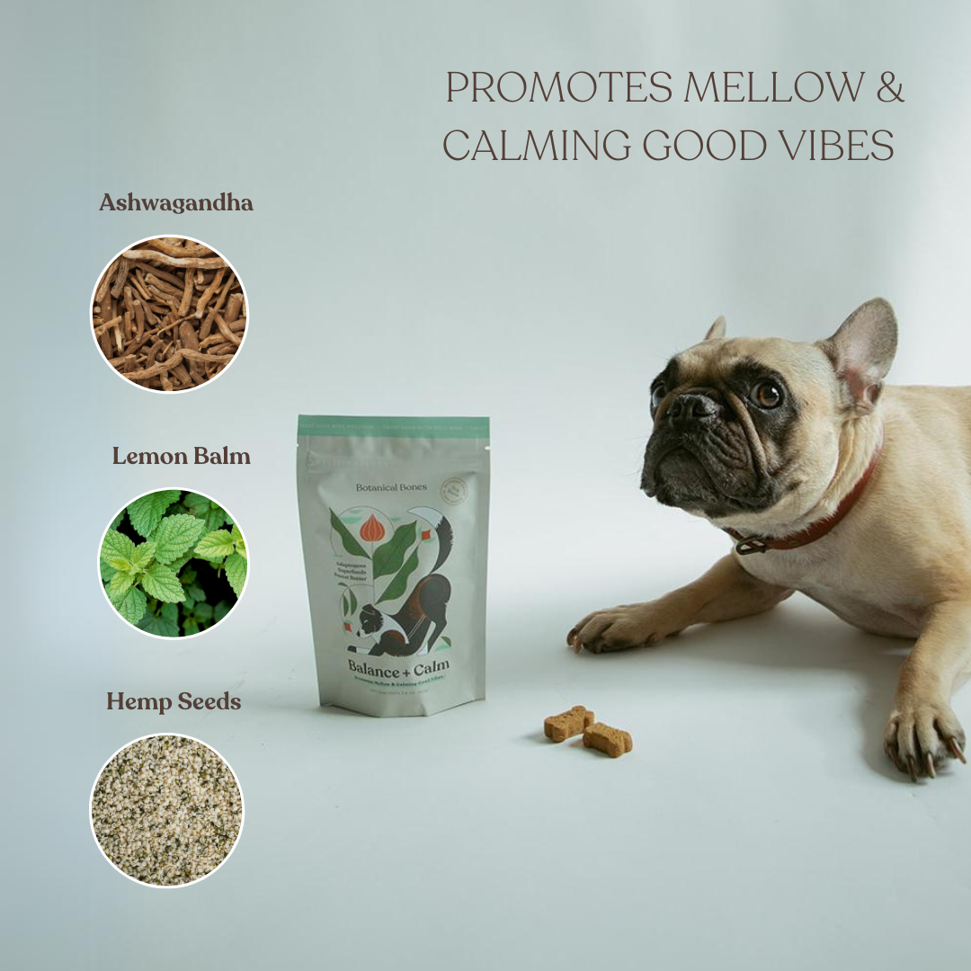 Balance + Calm 2-Pack | Calming Dog Treats for Anxiety Relief
