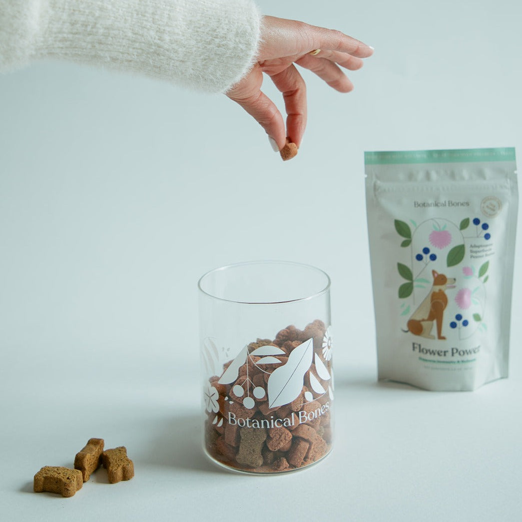 THE TREAT JAR (treats sold separately)