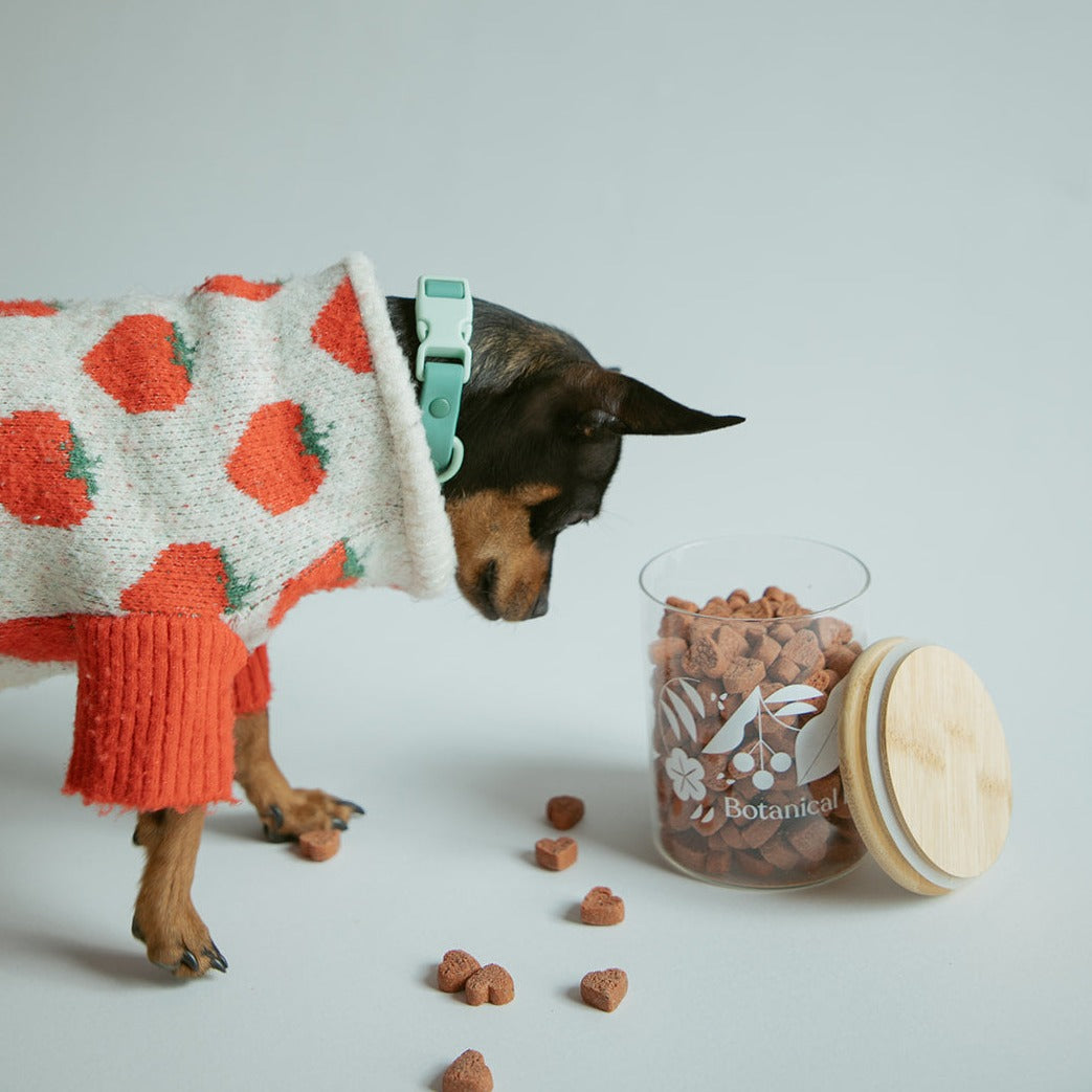 THE TREAT JAR (treats sold separately)