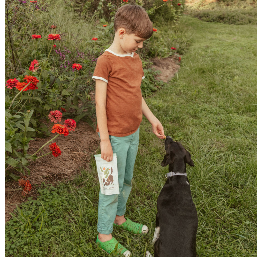 Balance + Calm 2-Pack | Calming Dog Treats for Anxiety Relief