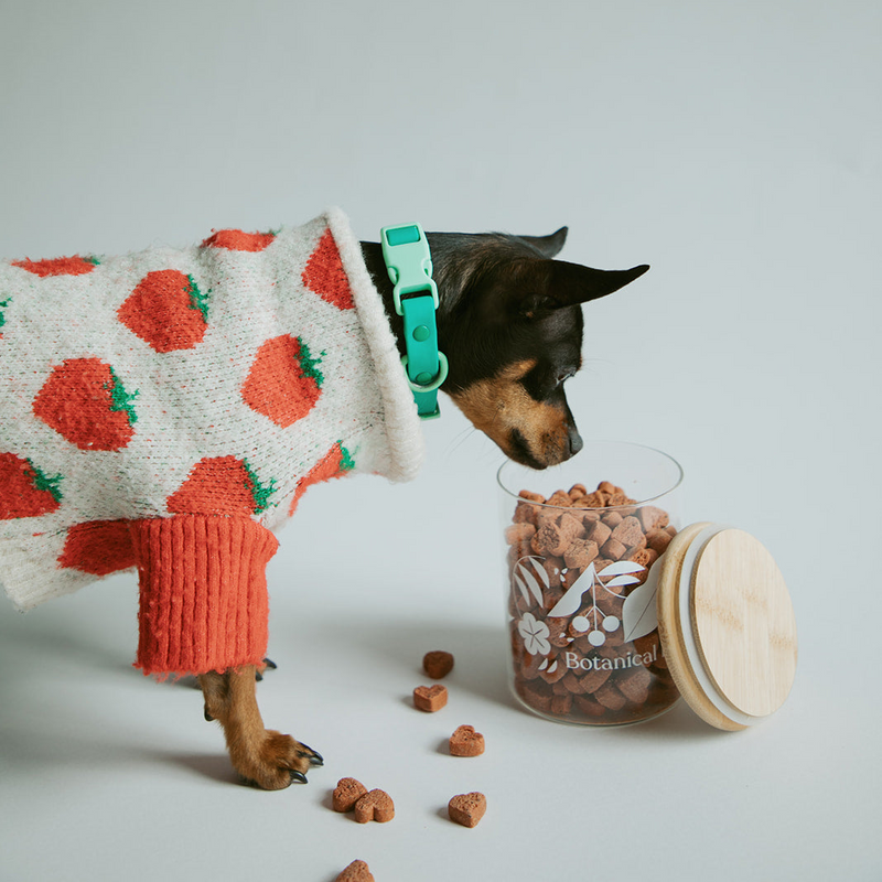 Full of Love (Bites) Treat Jar
