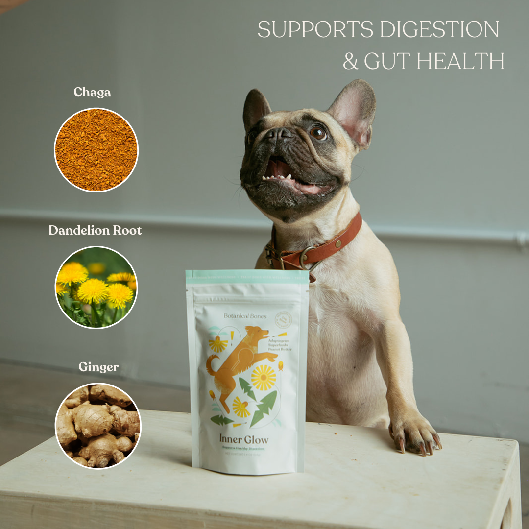 
                  
                    Inner Glow 2-Pack | Digestive Support Treats for Sensitive Stomachs Plant-Based Vegan
                  
                