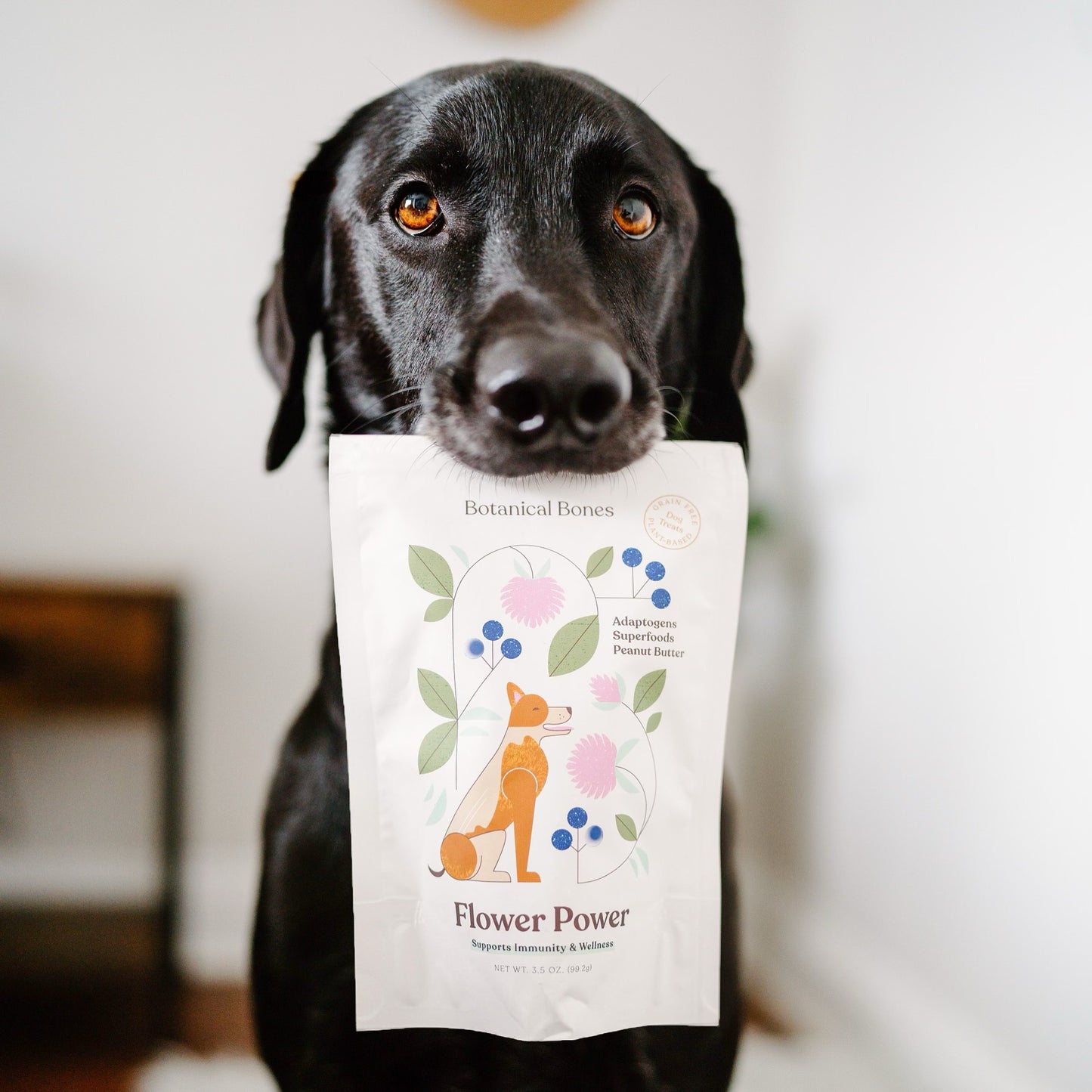 
                  
                    Flower Power 2-Pack | Immune Boosting Dog Treats for Longevity
                  
                