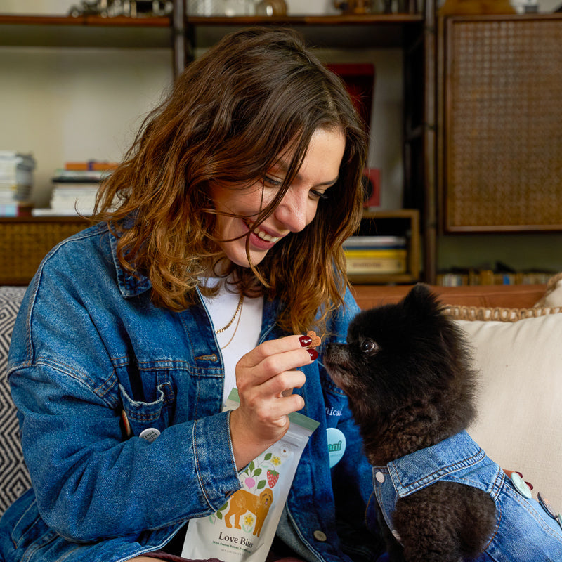 Woman in a denim jacket giving love bites dog treats with a small black pomeranian dog on a couch.
