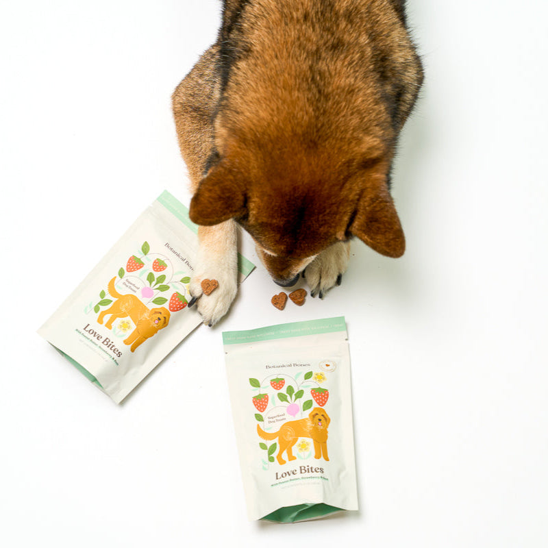 
                  
                    Dog sniffing two packages of 'Love Bites' dog treats on a white background
                  
                