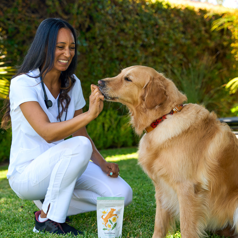 
                  
                    Dr Lindsey Wendt in white veterinarian scrubs feeding inner glow dog treats to a golden retriever outdoors
                  
                