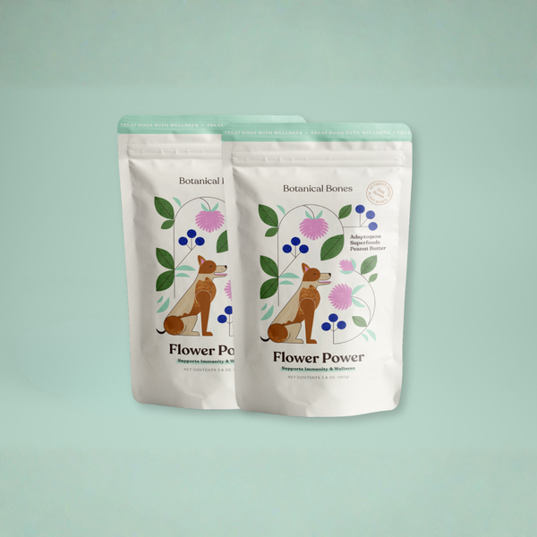 Two packages of 'Flower Power' botanical dog treats on a light green background