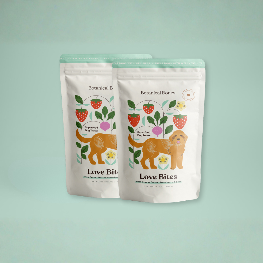 Two packages of Love Bites Botanical Bones dog treats on a light green background
