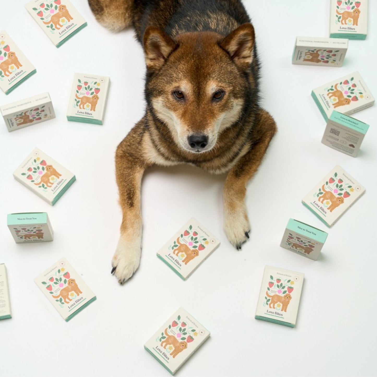 
                  
                    Love Bites Minis (3-Pack) | Limited Edition Valentine's Day Minis | Organic Superfood Treats
                  
                