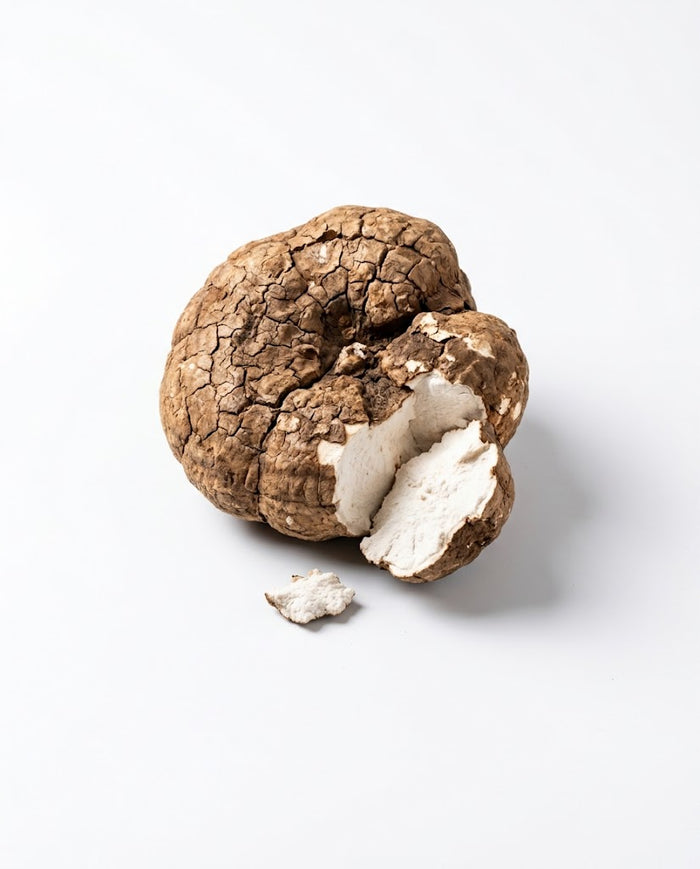 Poria Mushroom on white background