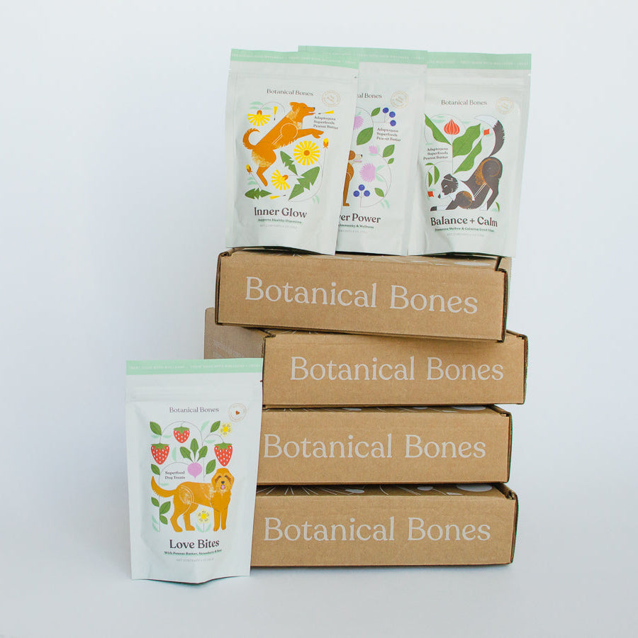 
                  
                    Bites & Bones Bundle
                  
                