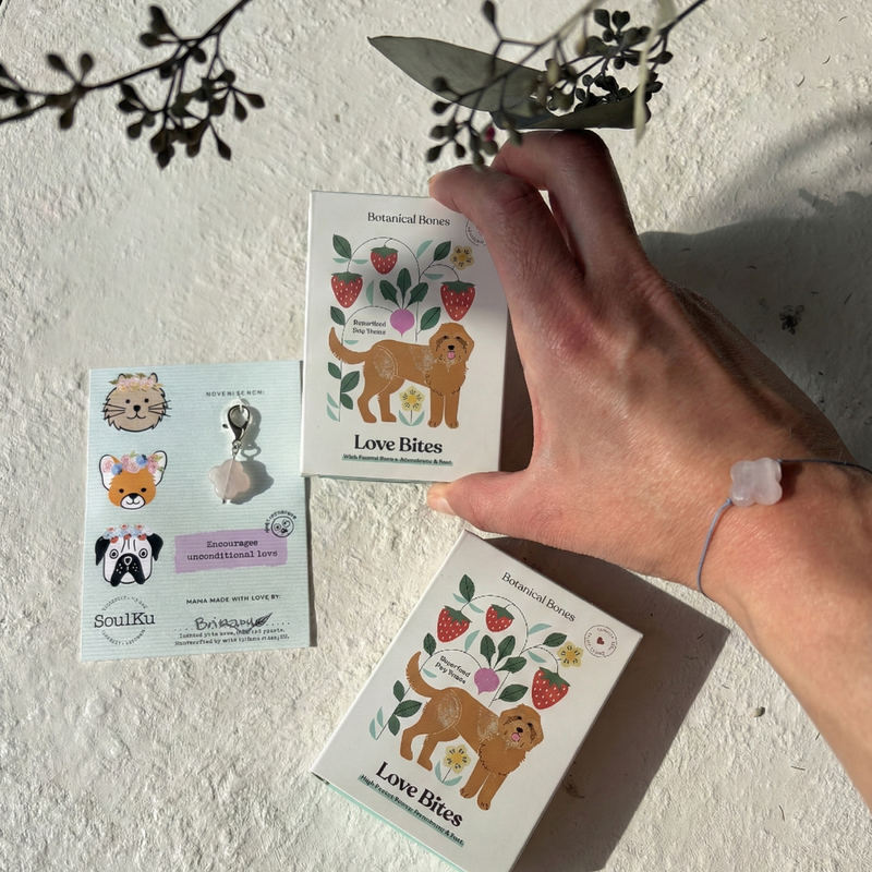 Charmed Gift Set: 2 Love Bites Minis + Matching Dog Charm & Bracelet