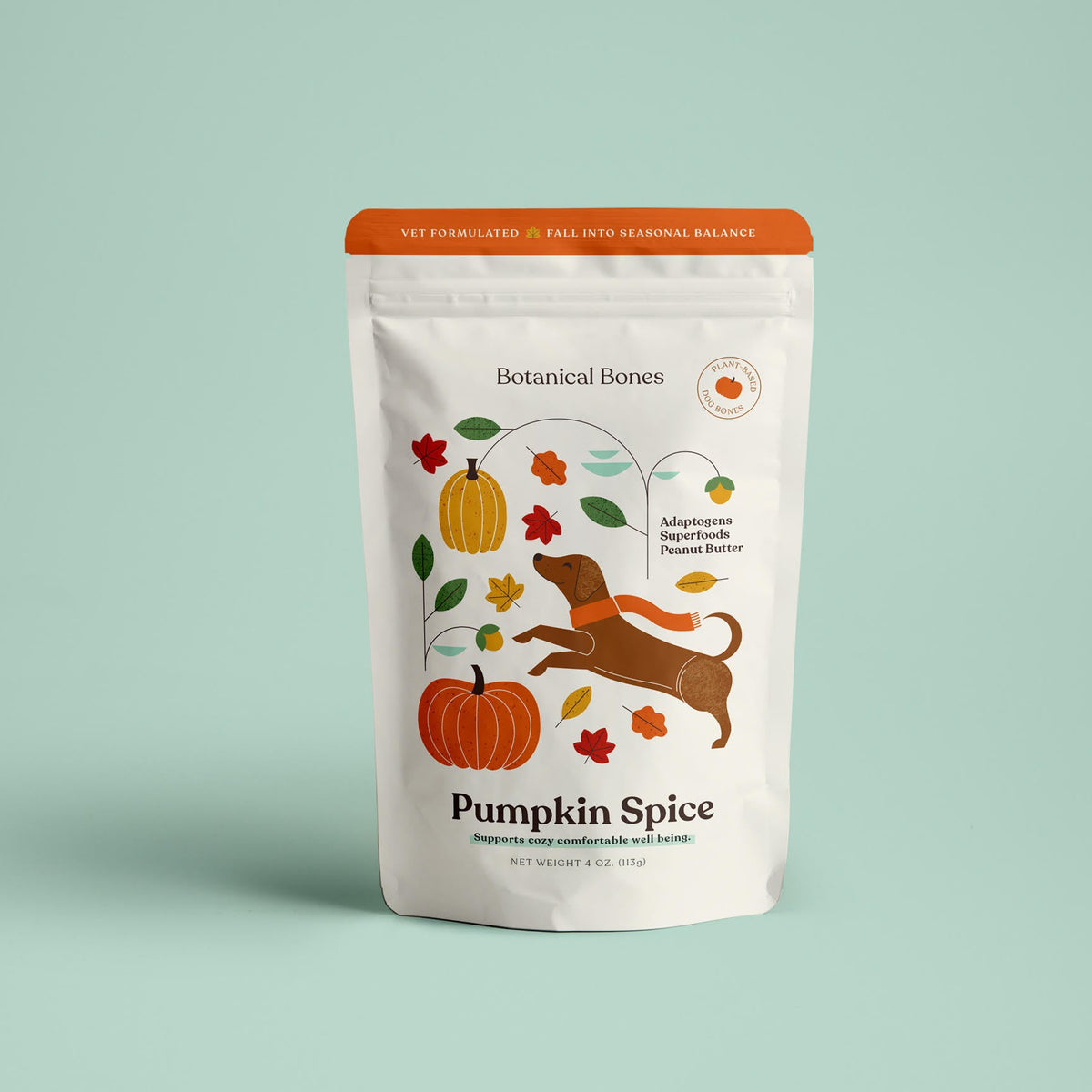 A stand-up pouch of Botanical Bones Pumpkin Spice dog food, featuring a white bag with an orange top and a fall-themed illustration of a dog, pumpkins, and leaves, set against a solid pale mint green background.
