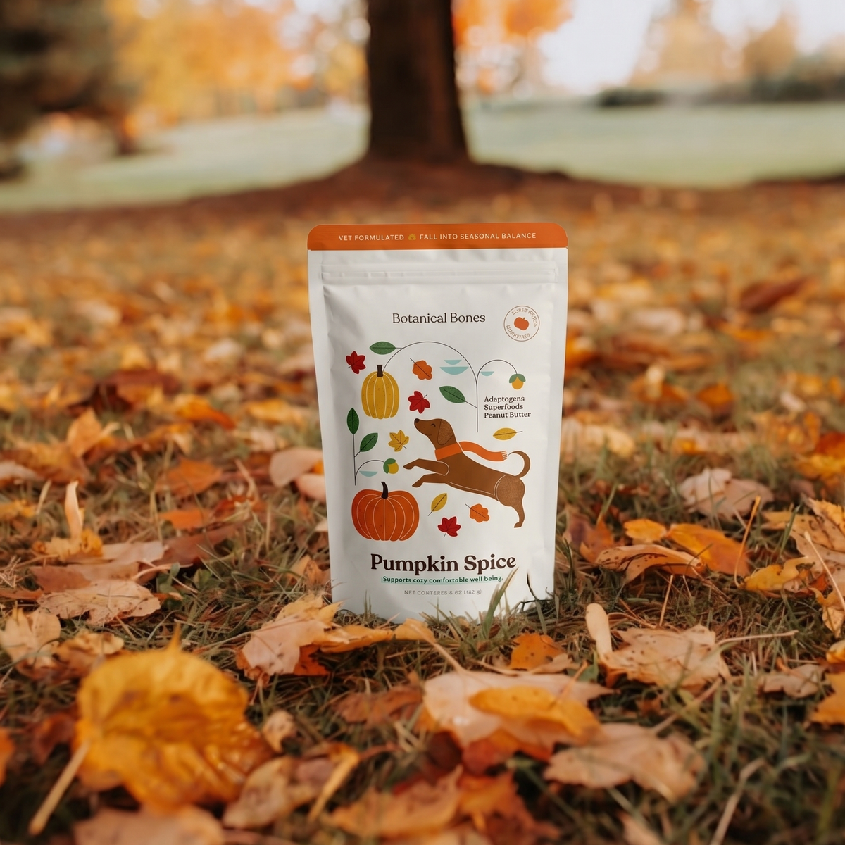 
                  
                    A stand-up pouch labeled 'Pumpkin Spice' by Botanical bones stands upright on grass covered with fallen autumn leaves, with a blurred outdoor park scene in the background.
                  
                