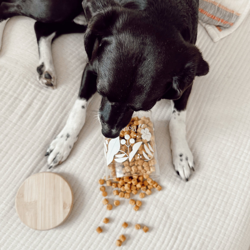 
                  
                    NIBS : PEANUT BUTTER COOKIE BITES
                  
                
